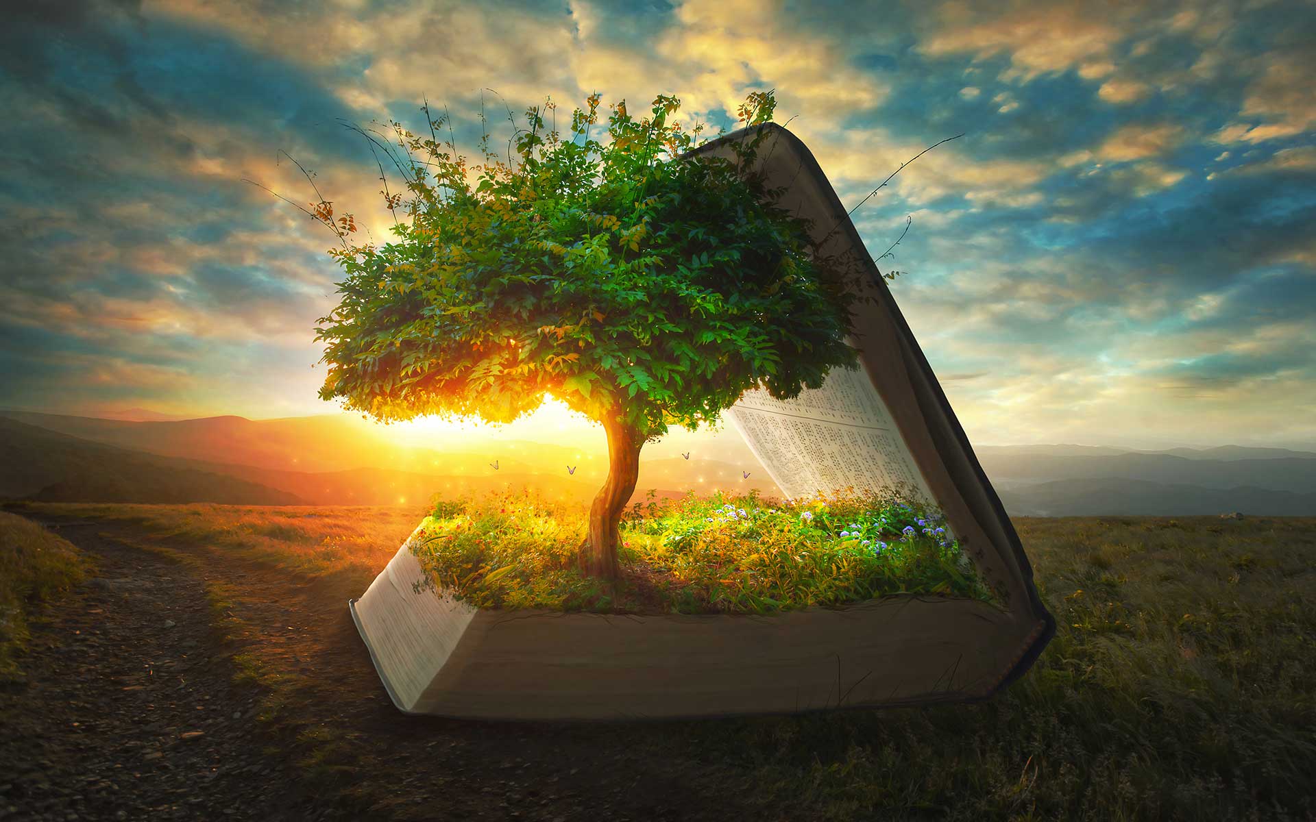 What is BibleLife Community Thankfulness?
